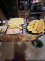 IMG_9340.jpeg