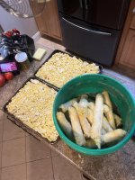 IMG_9342.jpeg