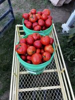 IMG_9467.jpeg