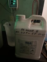 IMG_9469.jpeg