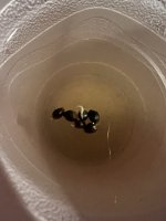 IMG_0067.JPG
