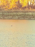 20231013_181342.jpg