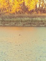 20231013_181345.jpg