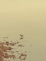 20231021_175130.jpg
