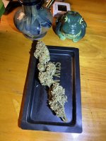 IMG_0938.jpeg
