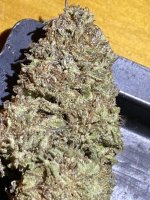 IMG_0936.jpeg