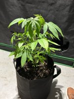 IMG_0315.jpeg