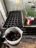 IMG_5012.jpeg