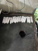 IMG_5016.jpeg
