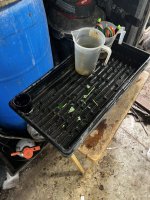 IMG_5019.jpeg