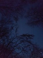 IMG_20231129_171344600.jpg