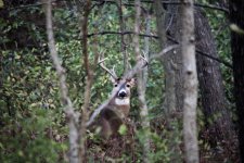 IMG_6904 (1).JPG