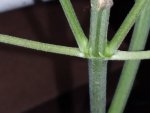 20200802_112353.jpg