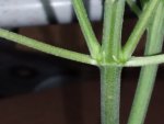 20200802_112603.jpg