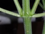 20200802_112858.jpg