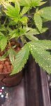 20200803_084513.jpg