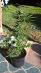 20200802_083955.jpg