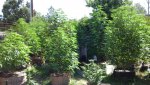 20200803_110640.jpg