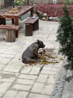 IMG_6473.jpeg