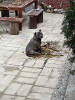 IMG_6474.jpeg