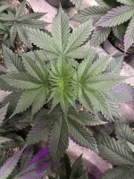 IMG_0843.jpeg