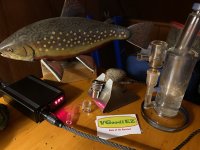 IMG_1128.jpeg
