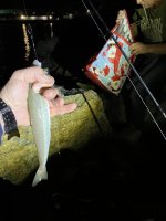 IMG_7680.jpeg