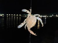 IMG_7685.jpeg