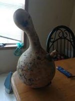 1707960644135.jpeg