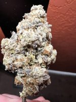 IMG_2370.jpeg