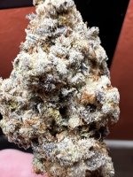 IMG_2369.jpeg