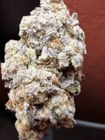 IMG_2372.jpeg