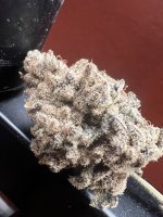 IMG_2771.jpeg