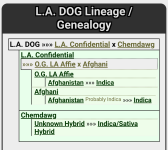 Capture+_2024-03-01-10-04-43_(1).png