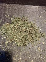 IMG_3985.jpeg
