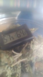 20240308_094947.jpg