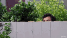 peeking-whatcha-doin.gif