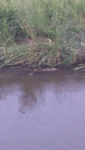 20190730_212103(1).gif