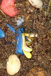 20200816_220614~2.jpg