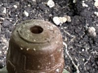 IMG_0405.jpeg
