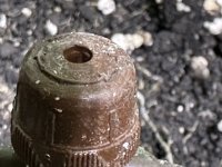 IMG_0403.jpeg