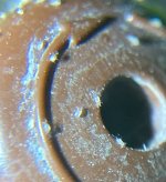 IMG_0560.jpeg