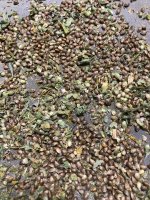 ketseeds.jpeg