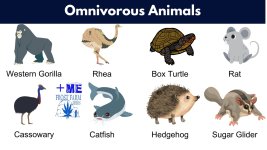 omnivores.jpg