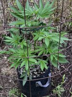 IMG_3347.jpeg
