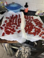 gummies.jpg