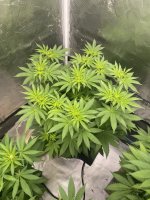 IMG_3808.jpeg