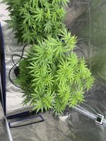 IMG_3839.jpeg