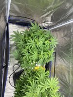 IMG_3840.jpeg