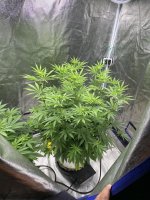 IMG_3853.jpeg